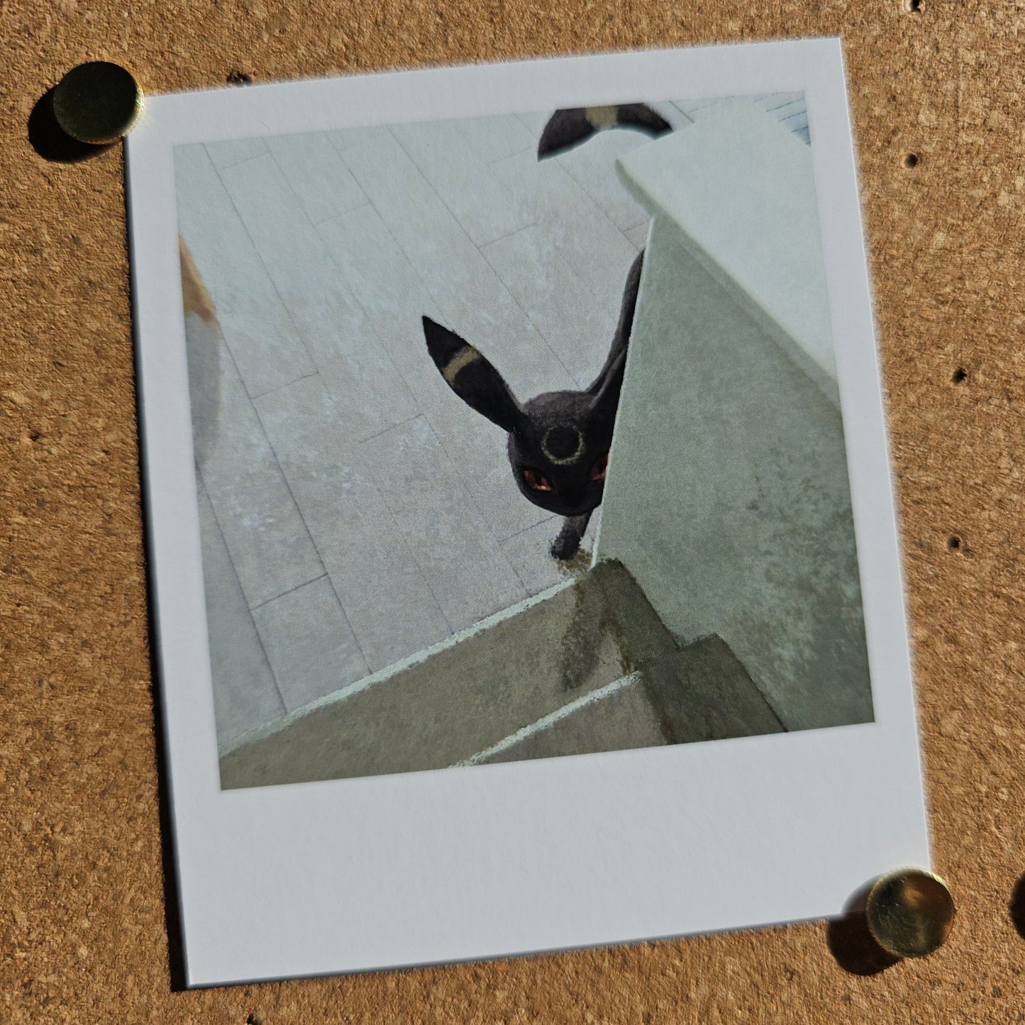 My Life with Umby (Photo Set)