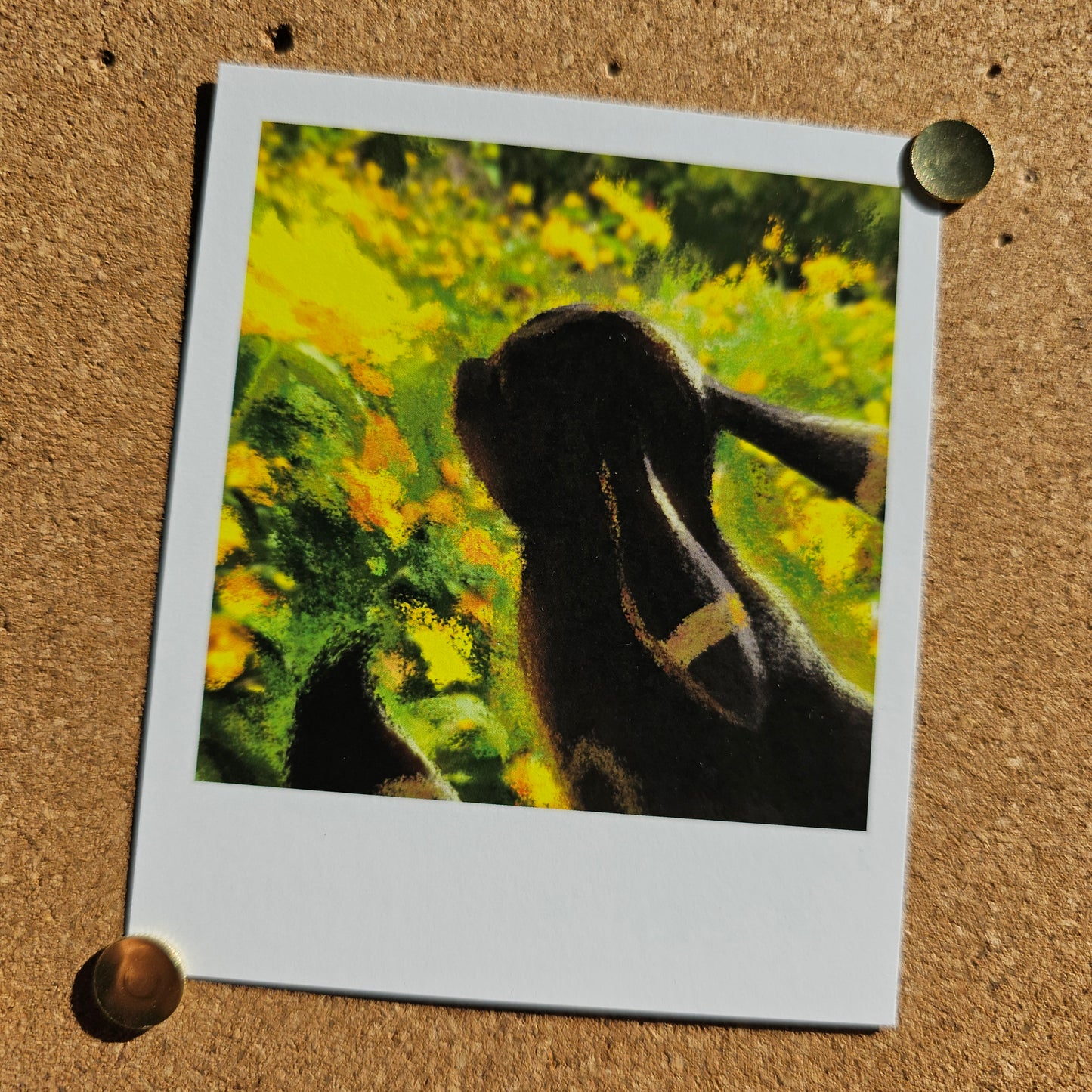 My Life with Umby (Photo Set)